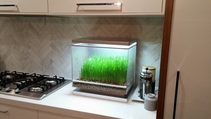 12027586_163628190642633_8859329510458875844_n