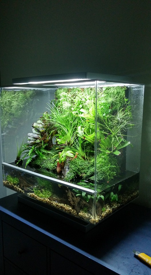 12033161_164587867213332_393376229010106831_n