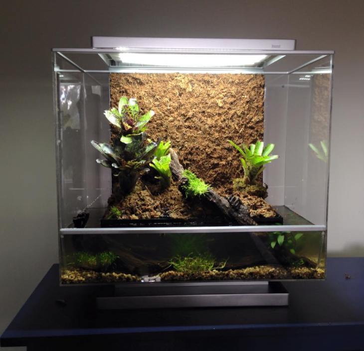 12039691_164512543887531_7972298776991465552_n