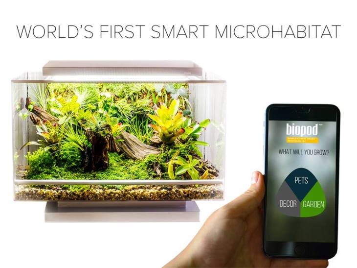 12046730_169993110006141_3508873525041710851_n