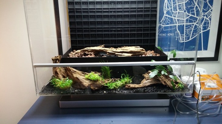 1512833_164587893879996_2275353834518860656_n