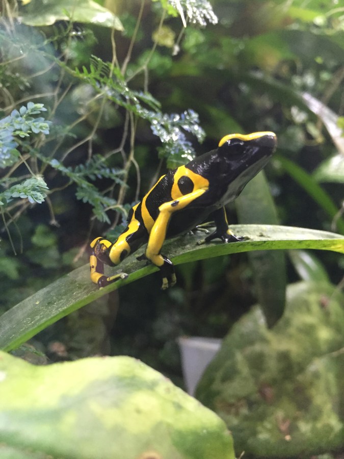 Christmas Photoshoot