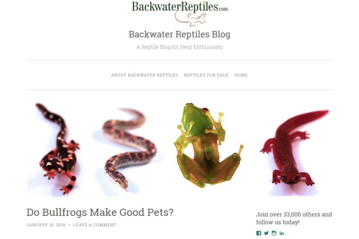 backwater reptiles.jpg