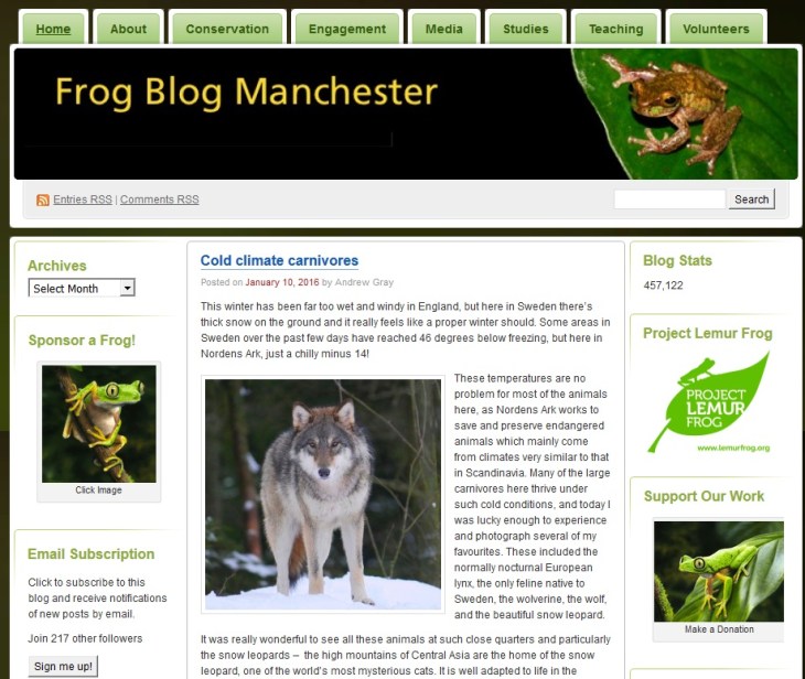 frog blog manchester.jpg