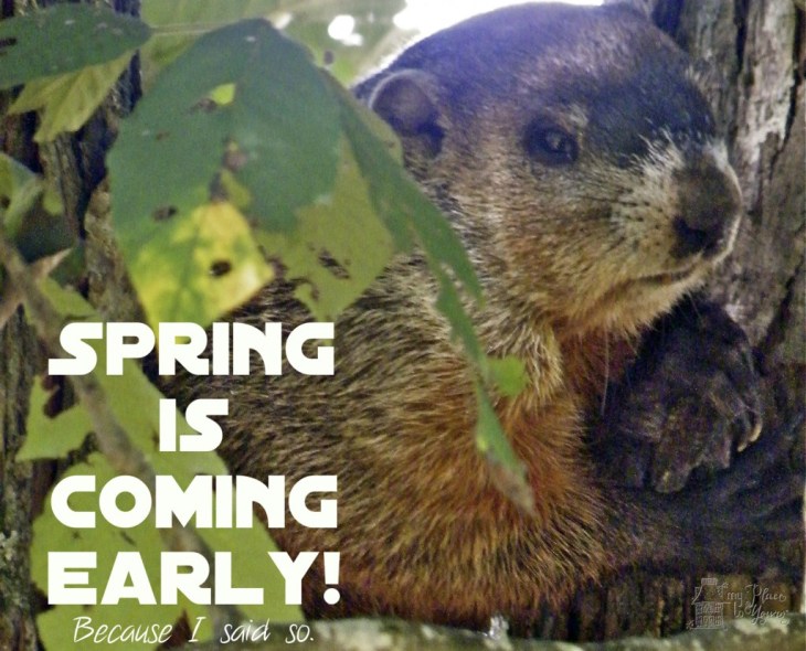 Groundhog4-1024x828.jpg