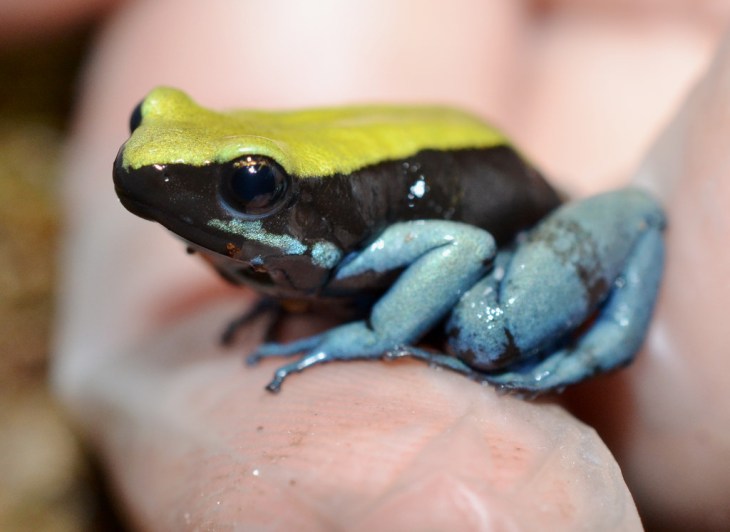 14659983287_c0718fcb6e_b