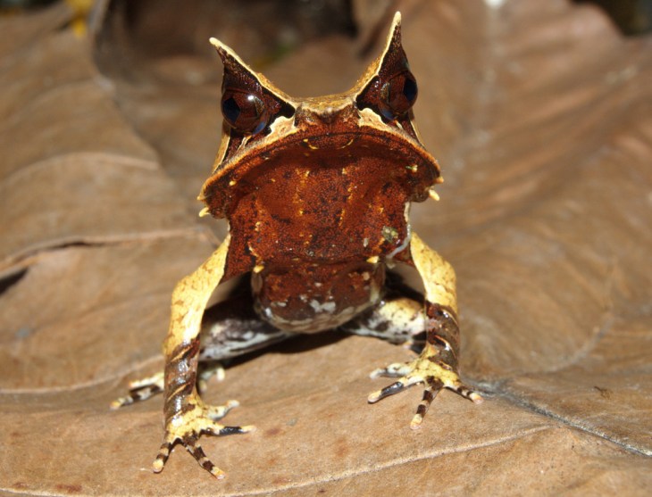 2940868762_ee129c6d49_b