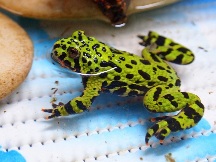 6314560936_97d496c3f0_b