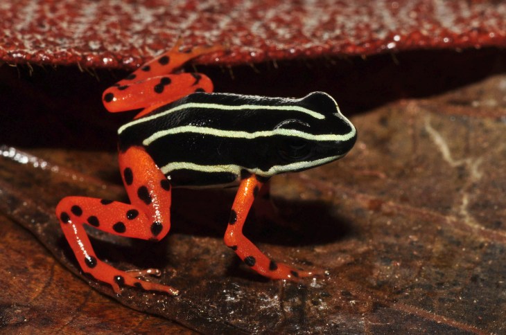 7398706934_e22dacb70e_k