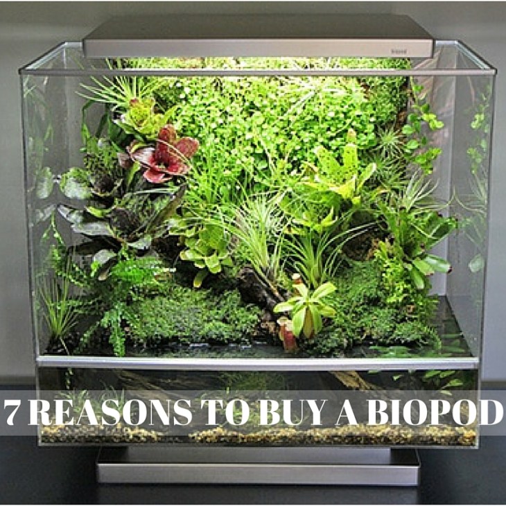 7 REASONS TO BUY A BIOPOD