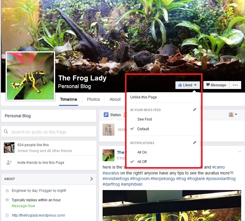 Frog Lady Facebook Page _ See Me!