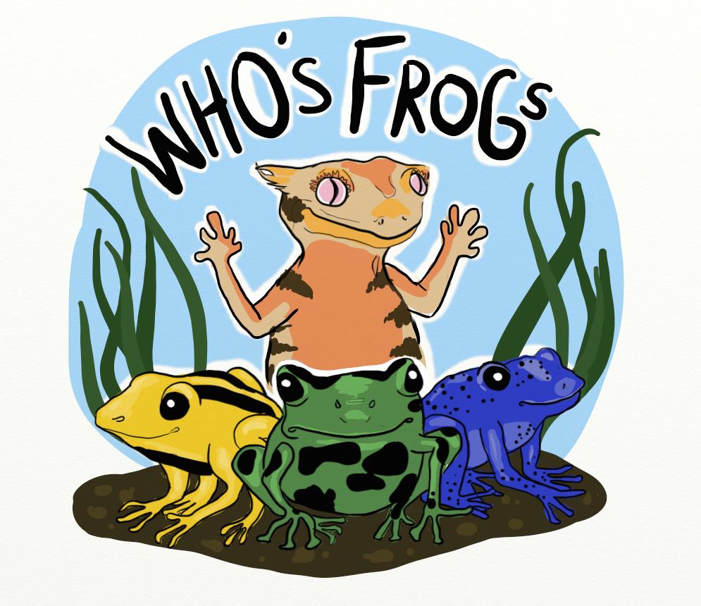 10604589_725469074201186_8619040115560962002_o