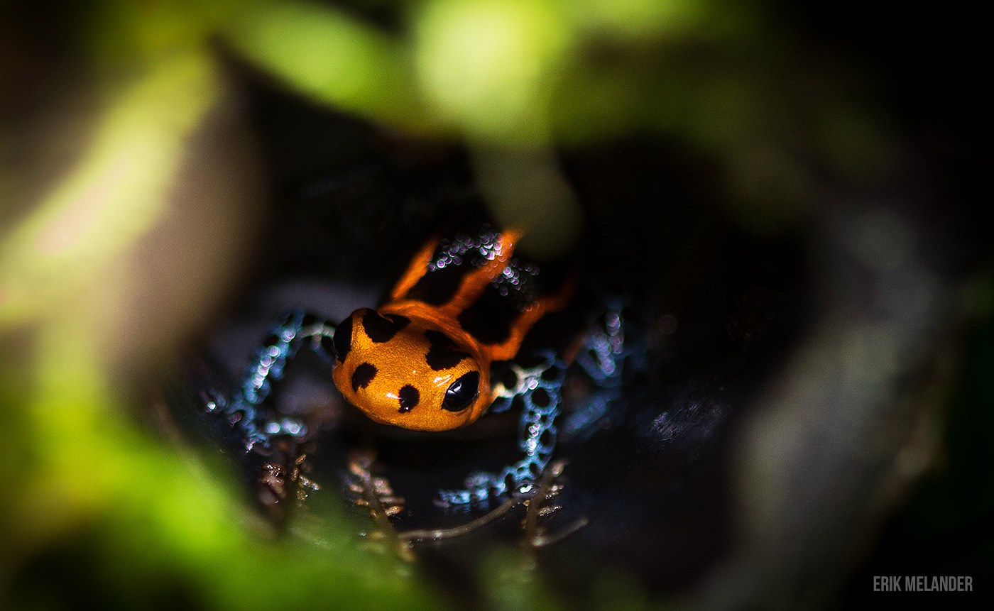 13405102_10154327528589175_39168420_o