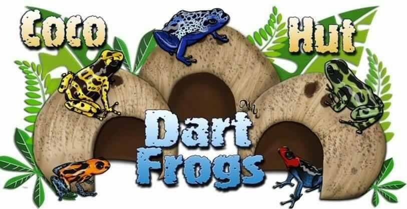 13407617_575282029300269_458221595_n