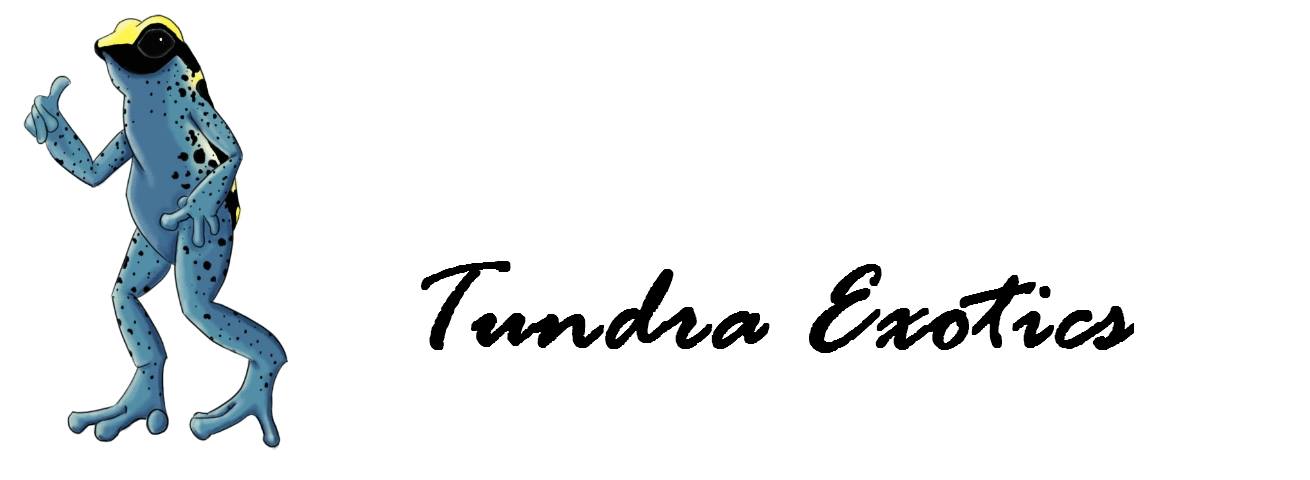 13433143_1210685598972498_2917349521940599098_o