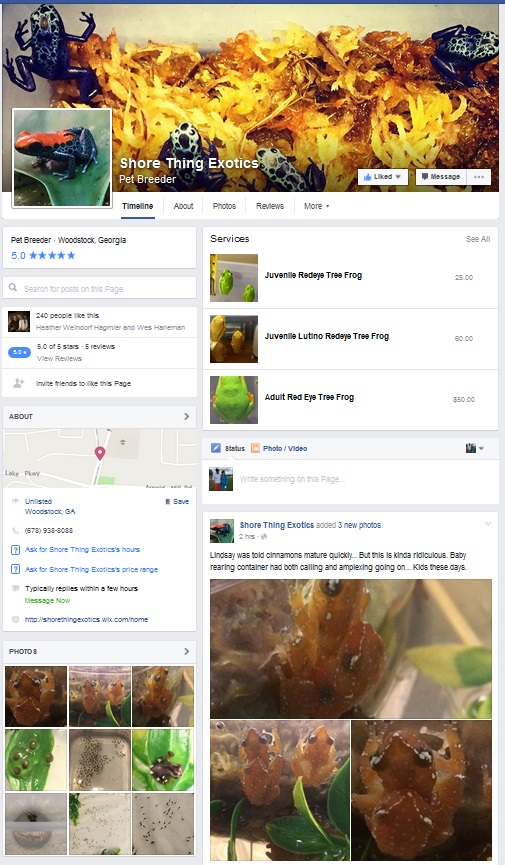 shore thing exotics.jpg