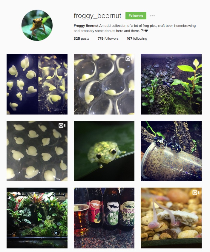 tom carola instagram