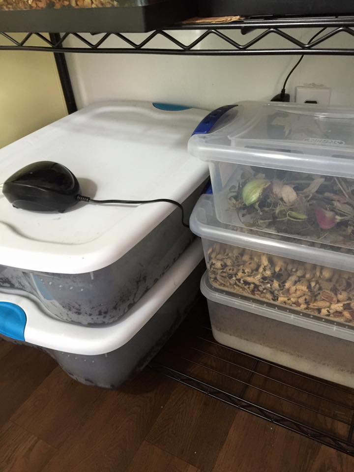 12801455_1147092985315367_4231209561072398147_n