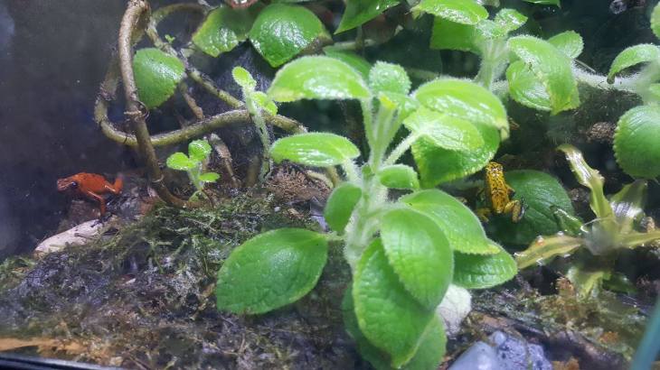 13694270_1266422380054232_1206724513_o