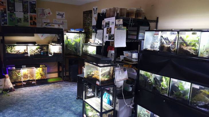 13702294_1266420480054422_1589443536_o