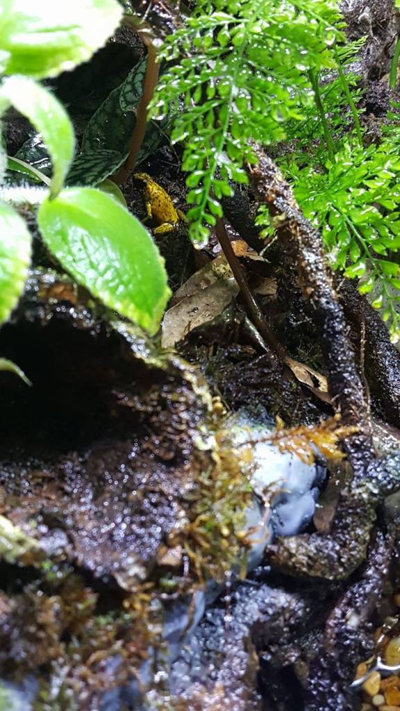 13709505_1266422443387559_651950163_o