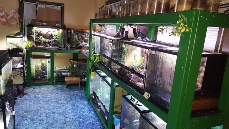 13709662_1266422256720911_631407880_o