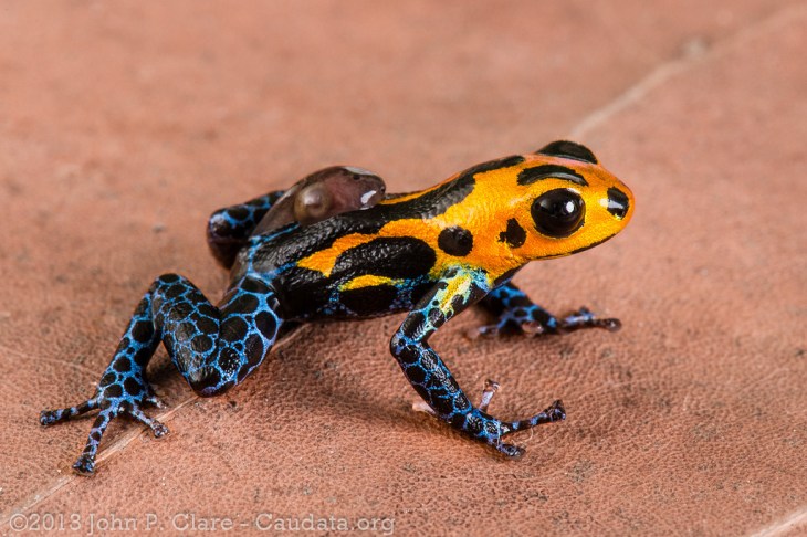 8503155024_0acfd5673d_b