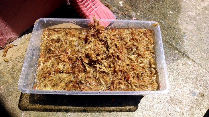 13985779383_f0eb400641_o