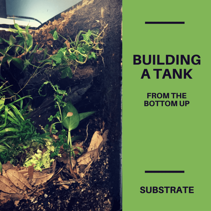 Building a tank from the bottom - substrate