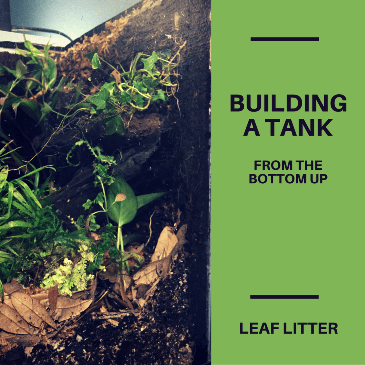 building-a-tank-from-the-bottom-up3