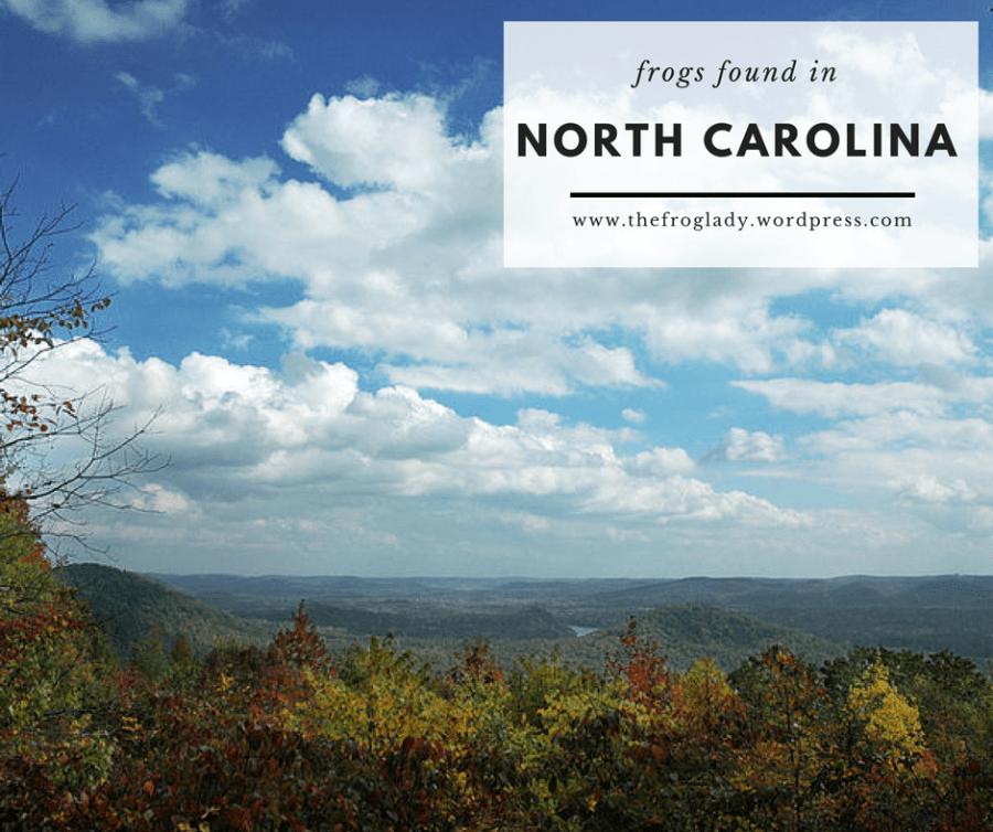 North Carolina Frogs and&nbsp;Toads
