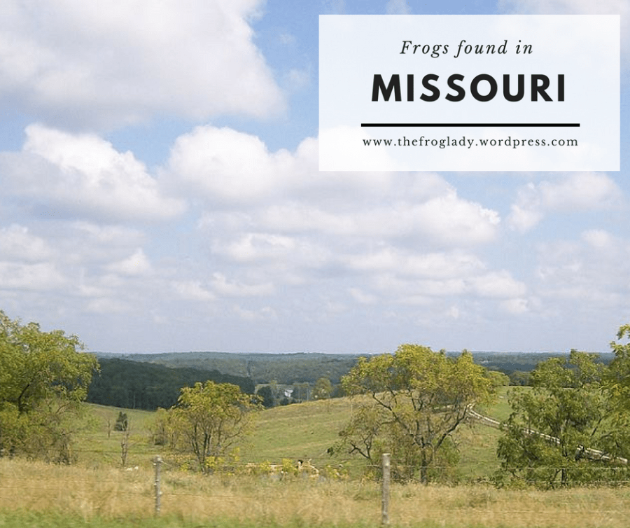 Frogs and Toads found in&nbsp;Missouri