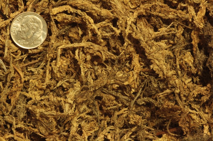 sphagnum_moss