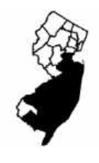 carpenter frog nj.jpg