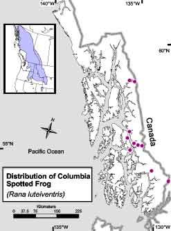 col_spotted_frog_distr_map.jpg
