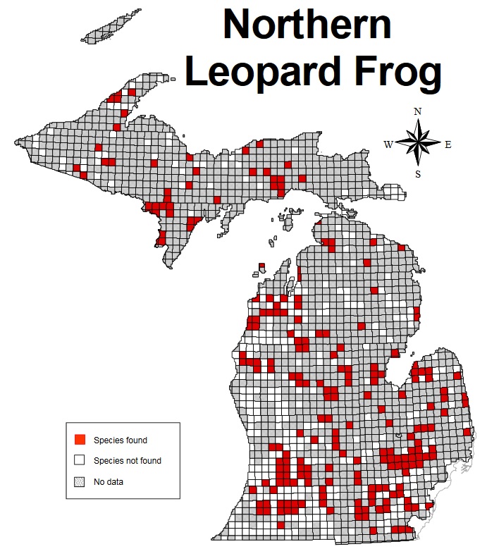 northern leopard frog range mi.jpg