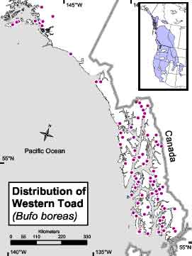western_toad_distr_map.jpg