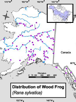 wood_frog_distr_map.gif