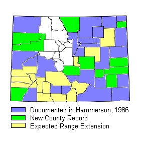 bullfrog range CO.jpg