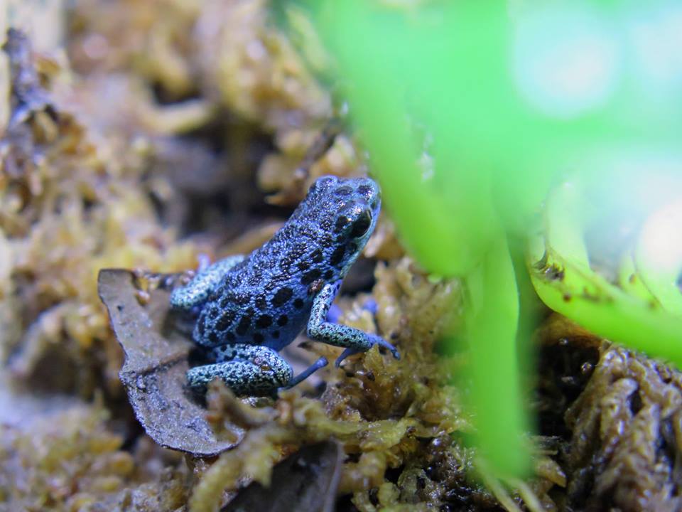 10422224_1043279249068789_1867186399265150203_n