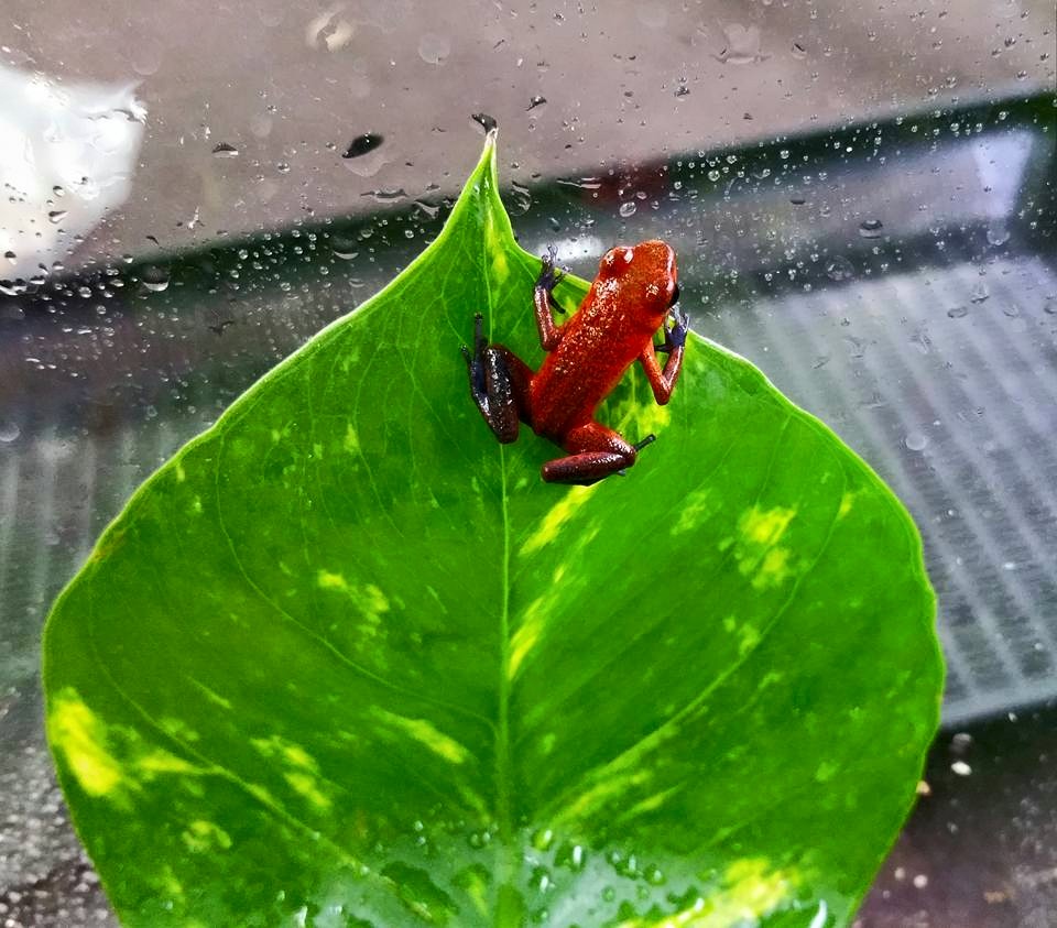 11140370_919953898046630_5095726555398470272_n