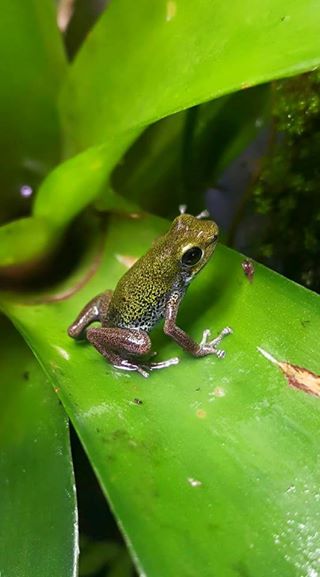 12191010_10205225804468232_3504754667769263366_n