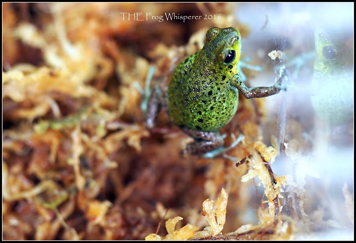 13235323_1184495144902599_7633810668389676483_o