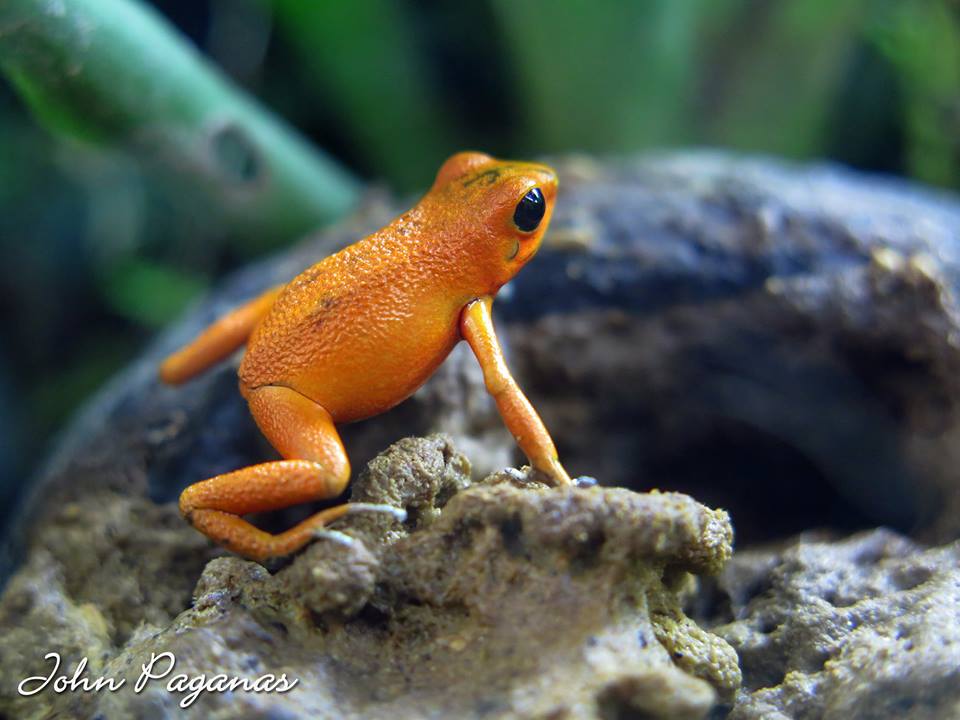 13260081_1390500824310175_5040980231374372801_n