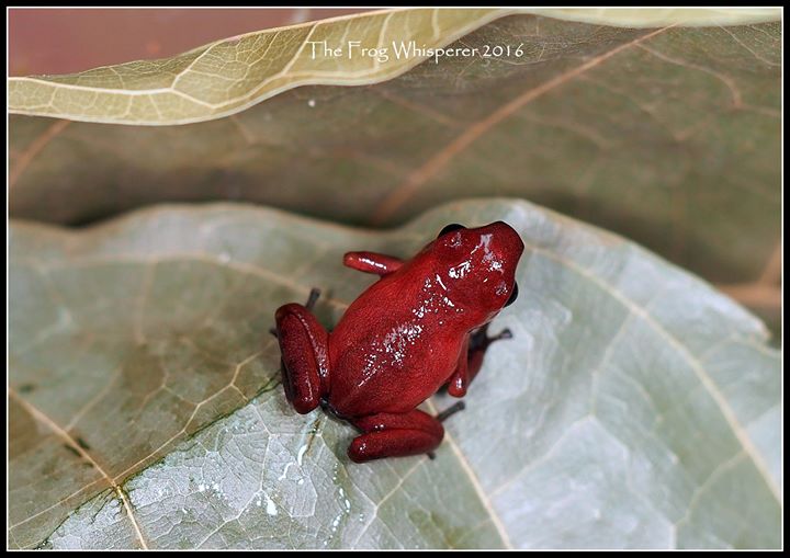 13442695_1202266133125500_7092462932265409860_o