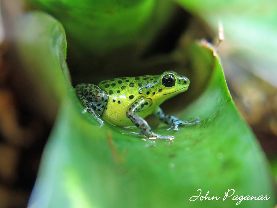 13495186_1413870481973209_3278287276274147459_n