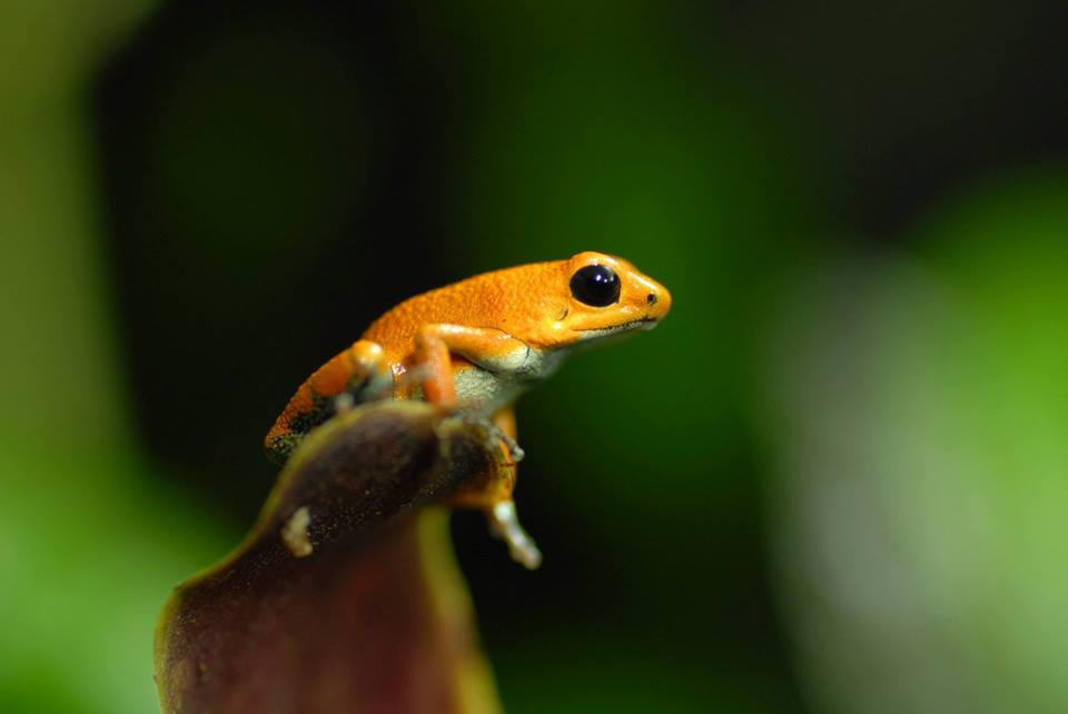 14572861_10210541555124356_1268857499142735439_n