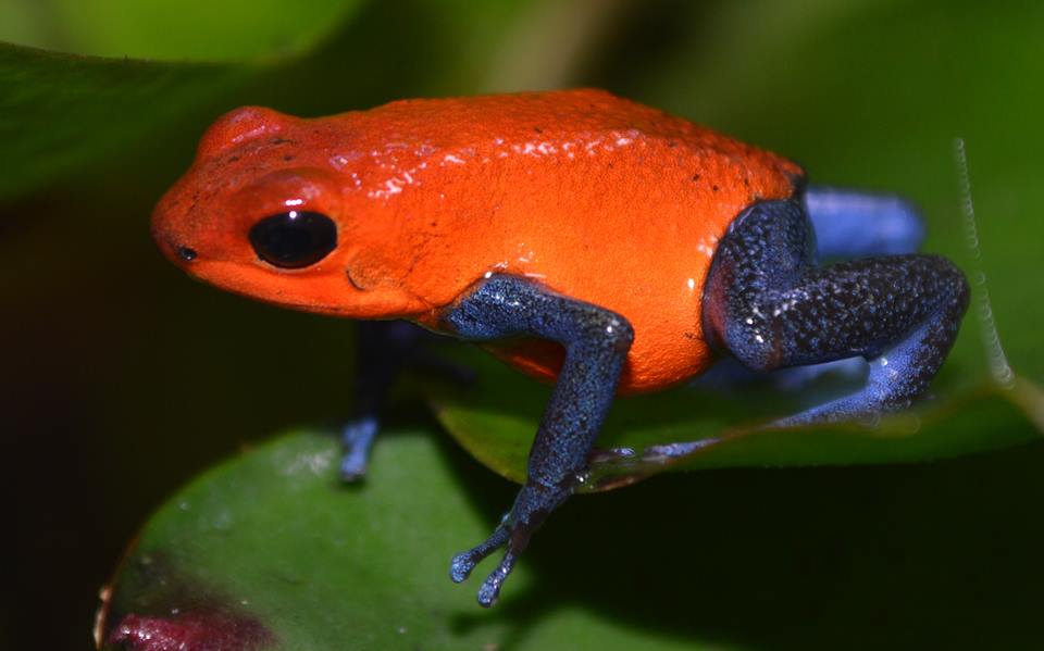 1497737_10202526999085592_954490173_n