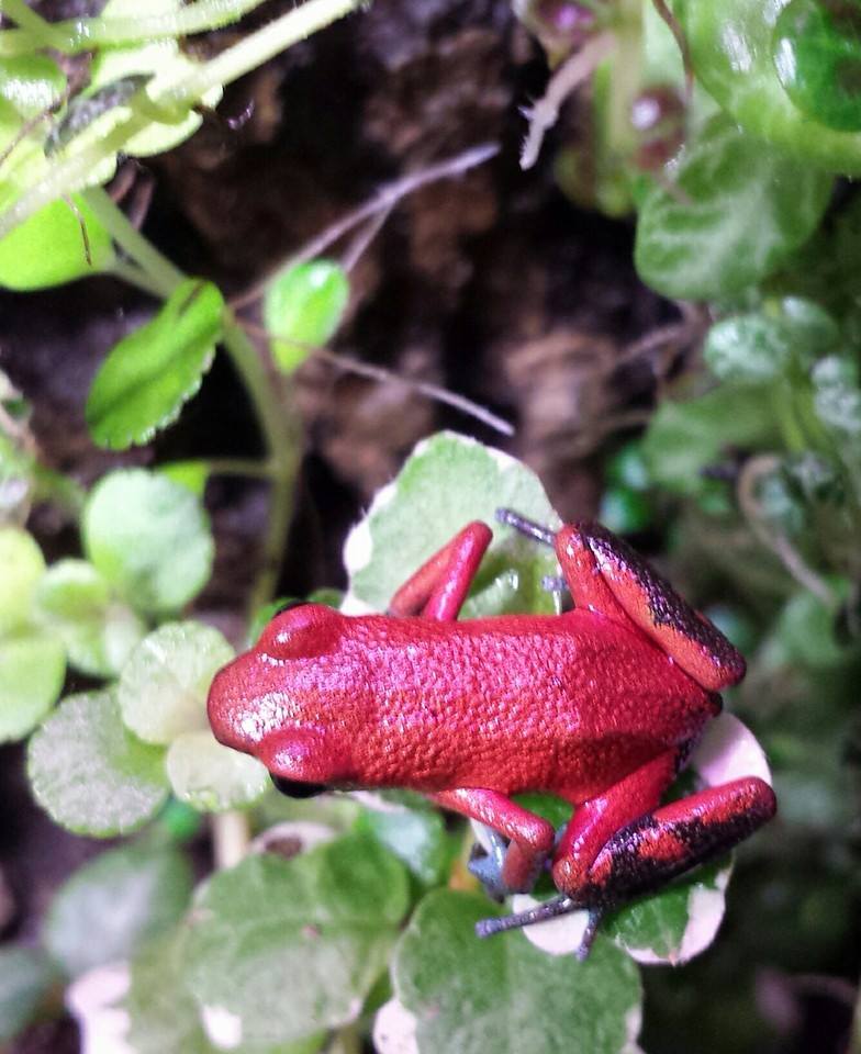 1655878_10202899173383909_3639622920807880943_n