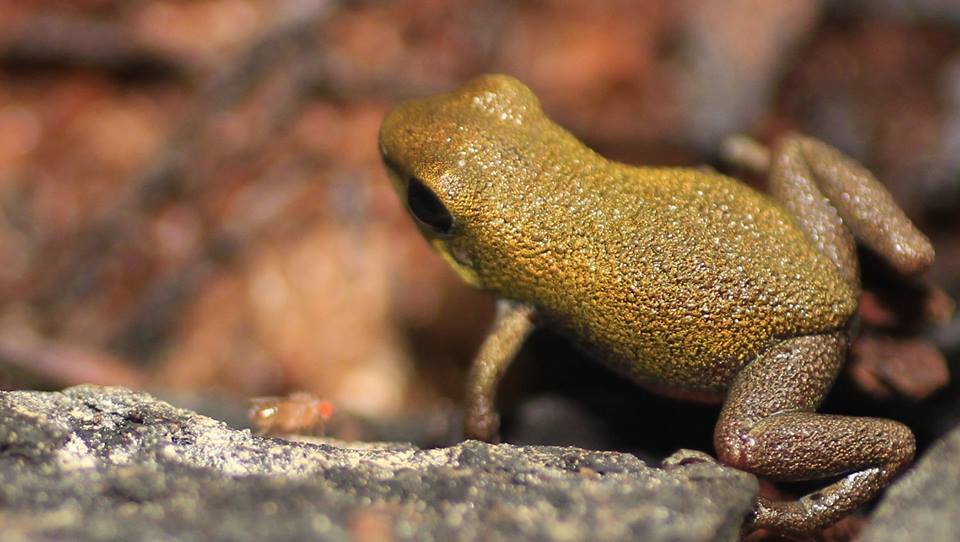 16649188_10210861558122211_6784179178184063005_n